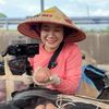 codauviet.taihanquoc