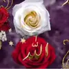 besa774