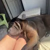 lizloo_80