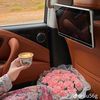 alhoor78_saeed