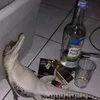encoreempxreur_