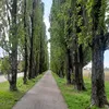 mokrimrahal