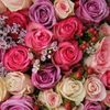 alwarde_123