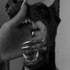 quleyvam_44_