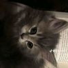 rahma.ezeiny2