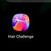 hairchallenllecolor1