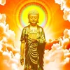 dinhdo130c