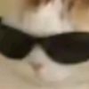 .agent.cat_