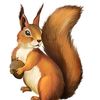 user421125989