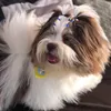 petbailey