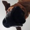 hannebanne2