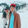 alamzeb209