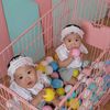 twins_k2