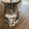 itsmethek