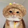 _congnguyen_official
