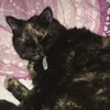 megan.raven
