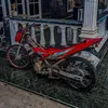 anjirrr29