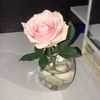 rose_frommyhusband06