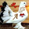 user301244712