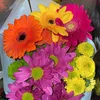 sadia.ray