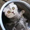 artur_vetrov