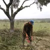 Podador en altura