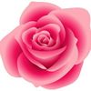 rositapino3