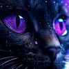 amujey_4184