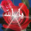 rafahatassi