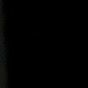 hasen.696