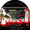 freekarbala