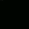 bumble.bee__7