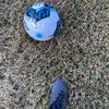 faro0319