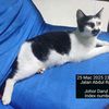 kecik__021