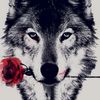 wolfcommando