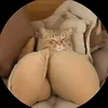 phamminhduc234