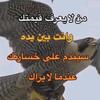 80_abo_ahmed