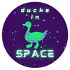 ducksinspaceshop