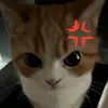 nathannhielmesa