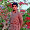 shahidtanha181