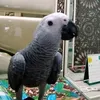 shaikhrehman168