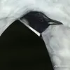 garuou