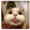 eskrimmptt