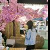 rujapa2521.sawaengphol