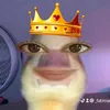 _fatimareem