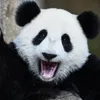 egor_kin1