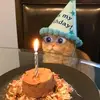 chococaramel_choco_chip