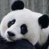 user475119615