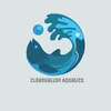 cleangallonaquatics