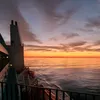 la_chouettte